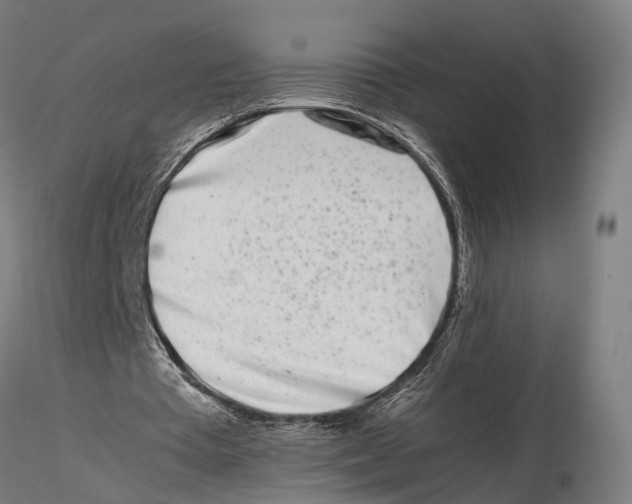 X0000115500385200912041043