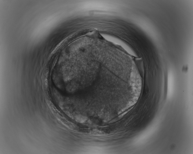 X0000115500387200912041043
