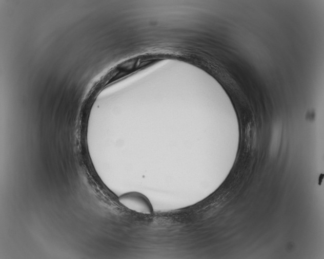 X0000115500388200912041043