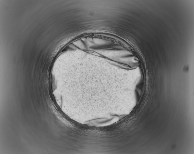 X0000115500389200912041043