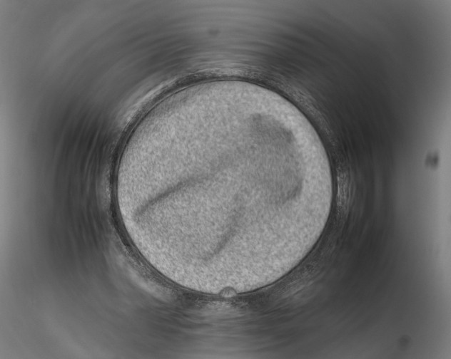 X0000115500390200912041043