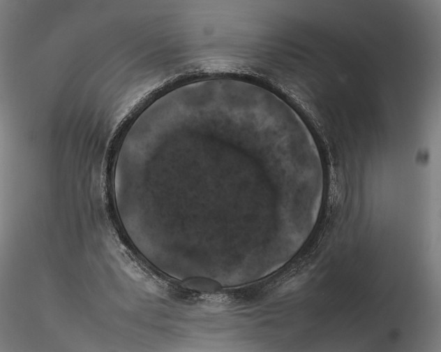X0000115500391200912041043