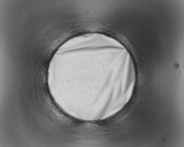 X0000115500393200912041043