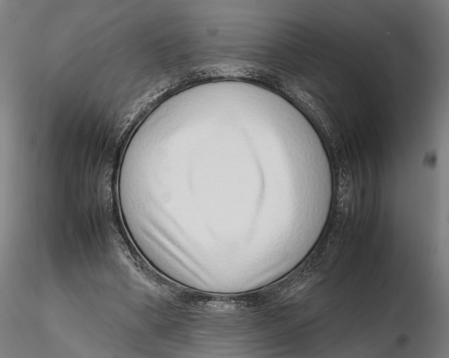 X0000115500394200912041043