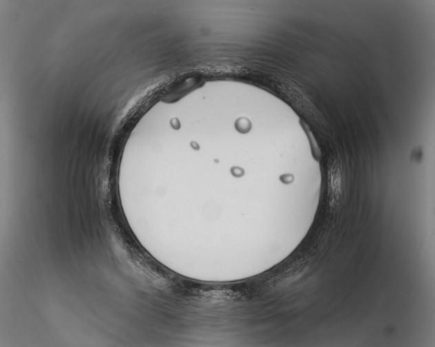 X0000115500396200912041043