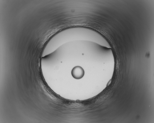X0000115500397200912041043