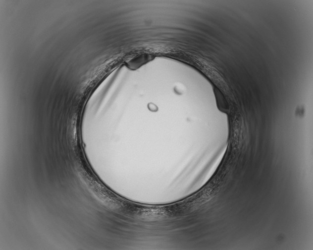 X0000115500398200912041043