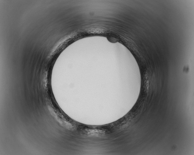 X0000115500400200912041043