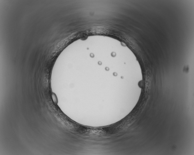 X0000115500401200912041043