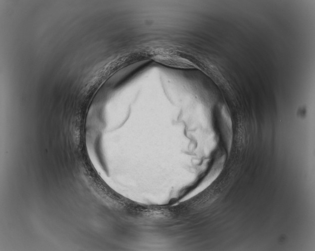 X0000115500402200912041043
