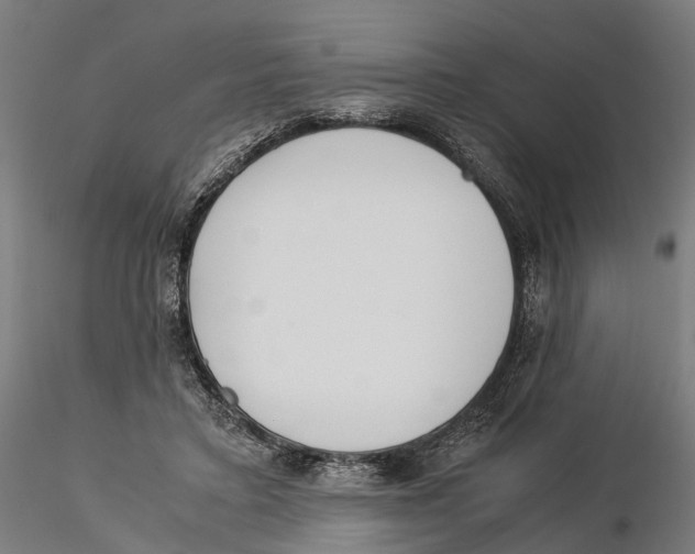X0000115500403200912041043