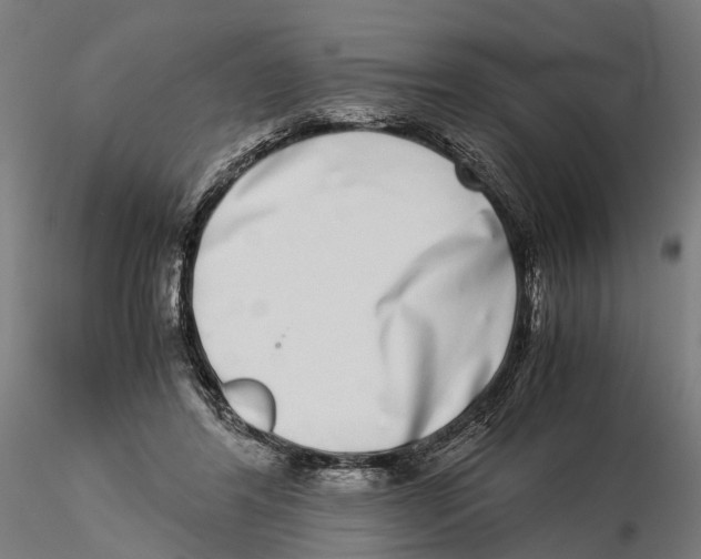 X0000115500404200912041042