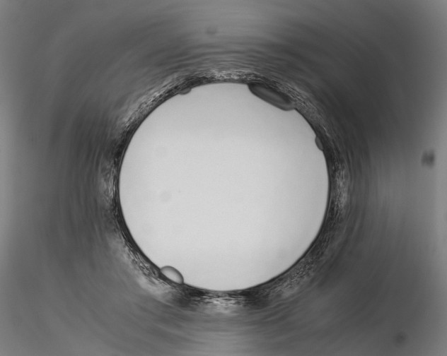 X0000115500405200912041042