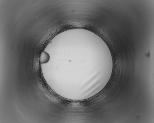 X0000115500406200912041042