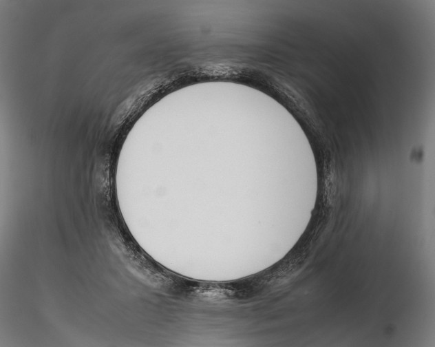 X0000115500407200912041042