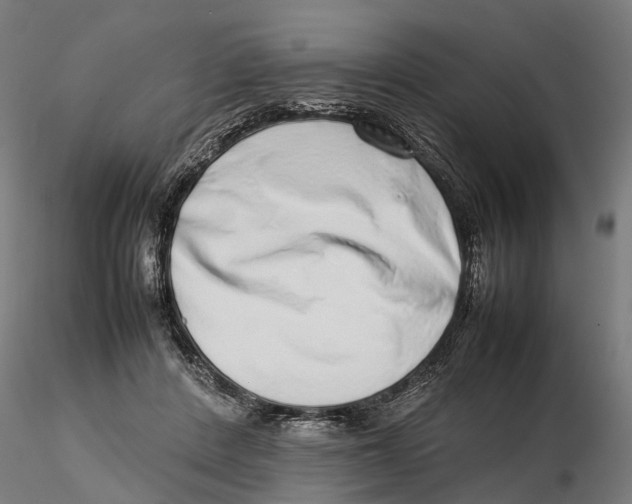 X0000115500408200912041042