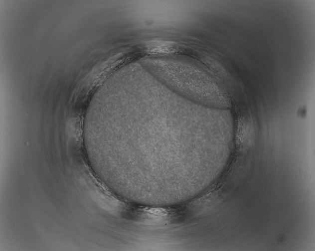 X0000115500409200912041042