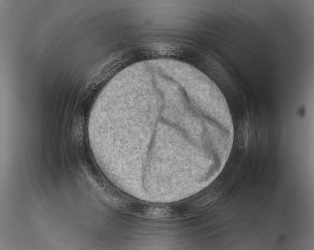 X0000115500410200912041042