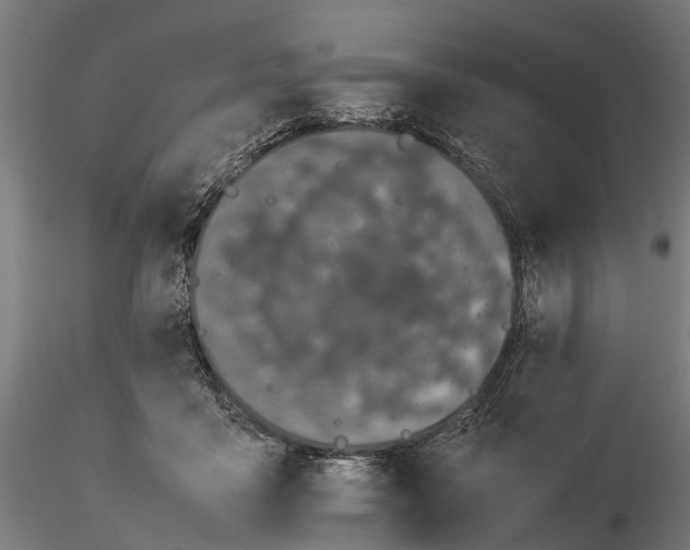 X0000115500411200912041042