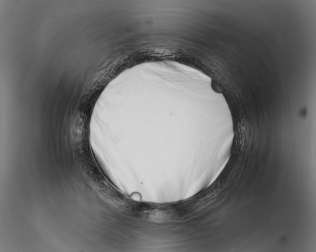 X0000115500412200912041042