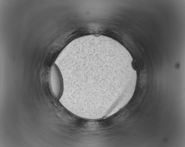 X0000115500413200912041042