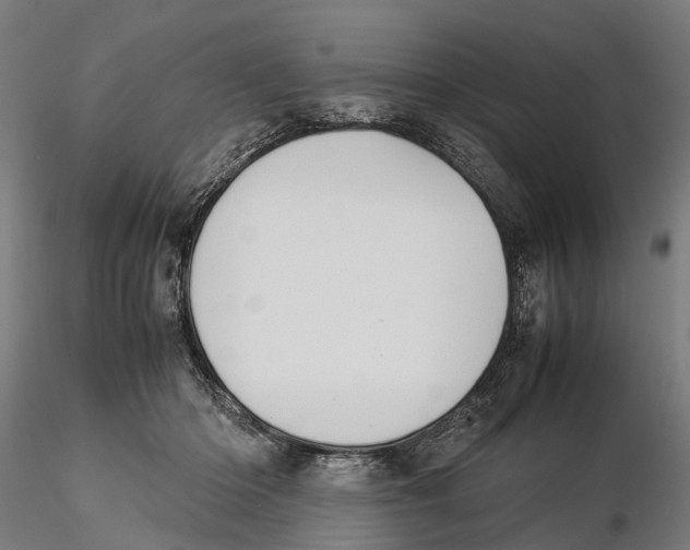 X0000115500414200912041042