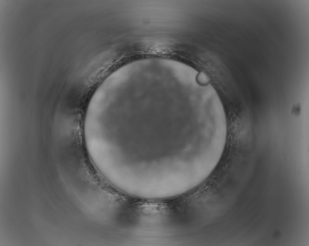 X0000115500415200912041042