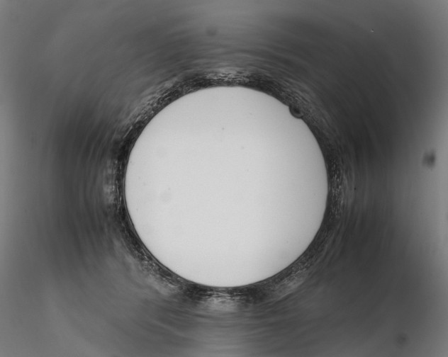 X0000115500416200912041042