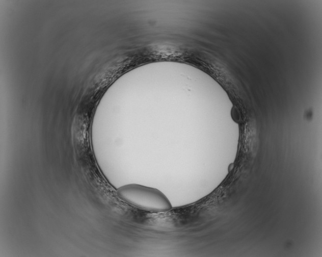 X0000115500417200912041042