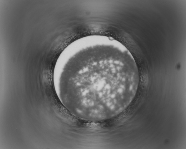 X0000115500419200912041042