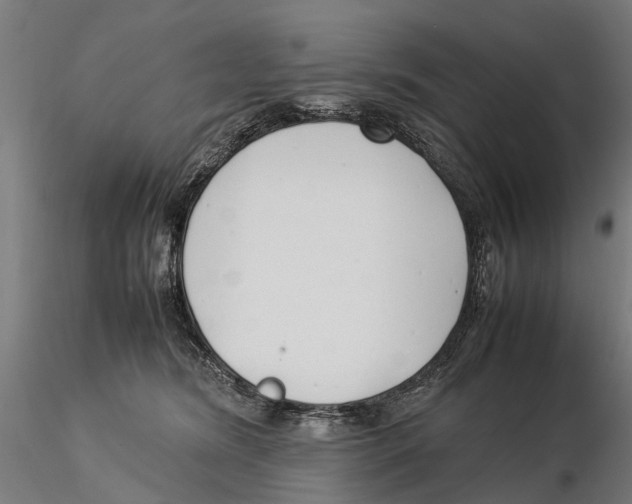 X0000115500420200912041042