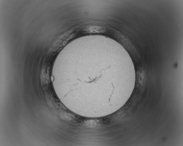 X0000115500422200912041042