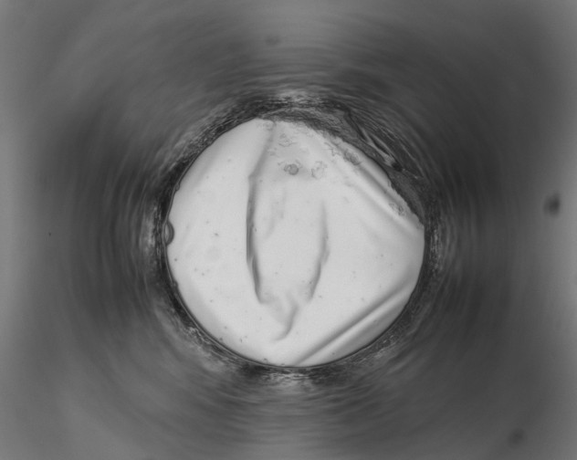 X0000115500424200912041042