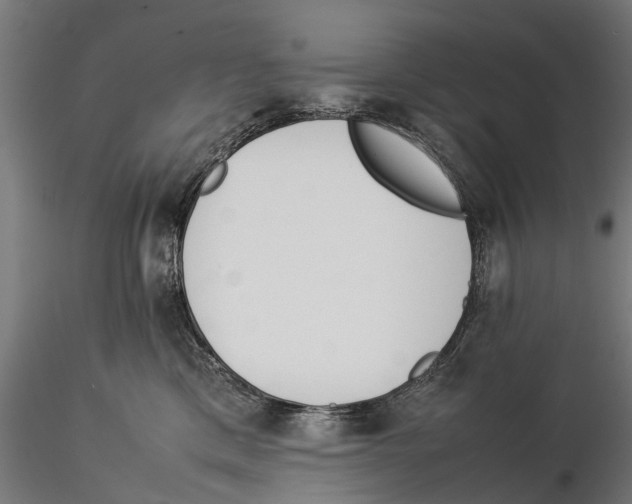 X0000115500425200912041042