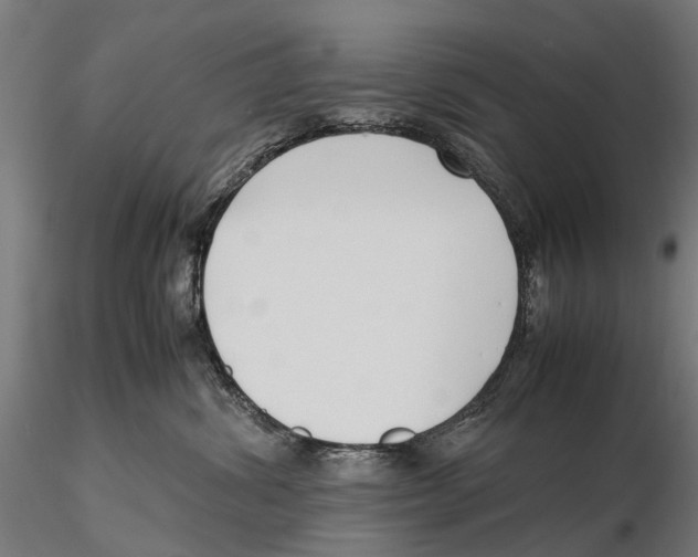 X0000115500428200912041042