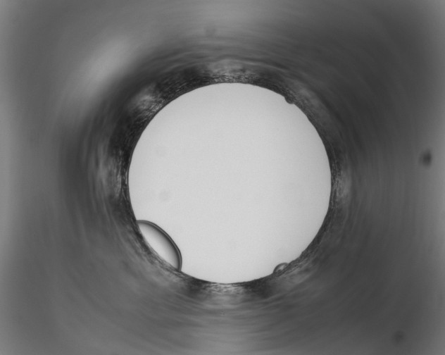 X0000115500429200912041042