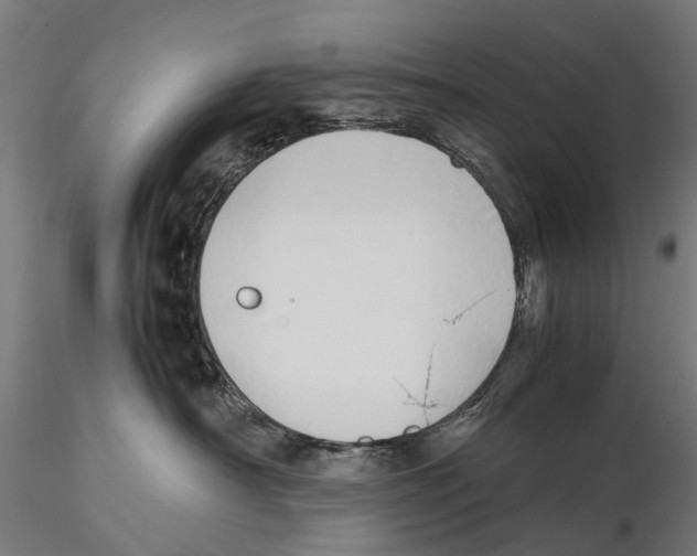 X0000115500430200912041042