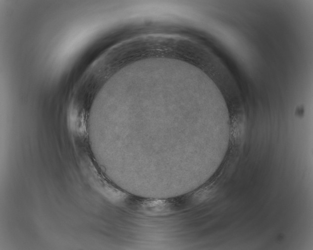 X0000115500431200912041042