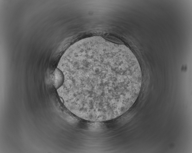 X0000115500432200912041042