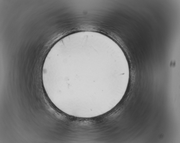 X0000115500433200912041041