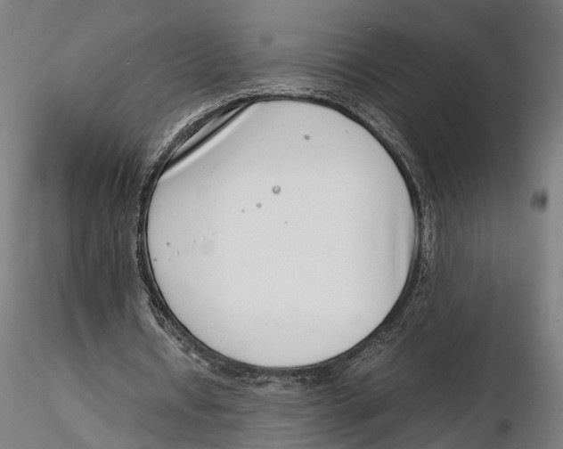 X0000115500434200912041041