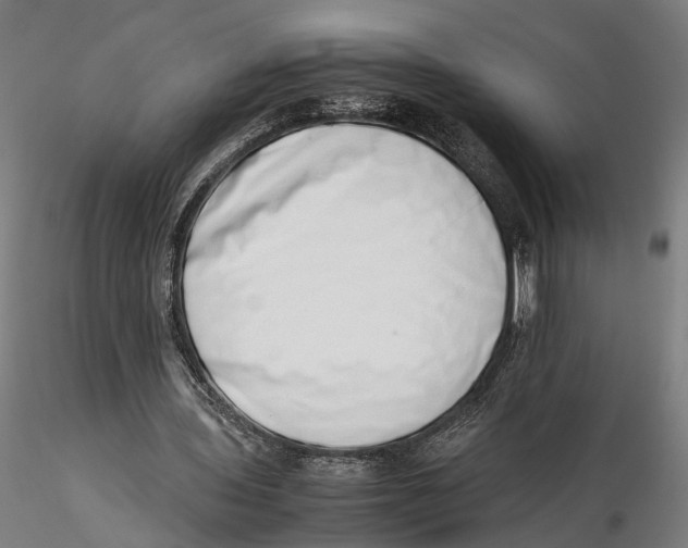 X0000115500435200912041041