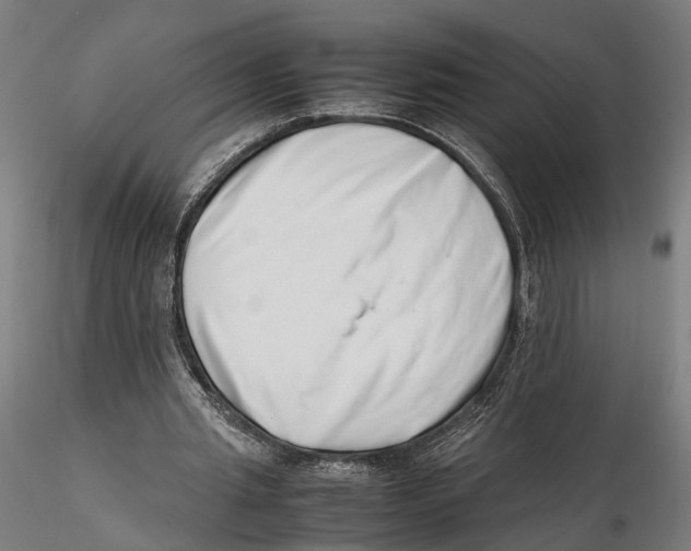 X0000115500437200912041042