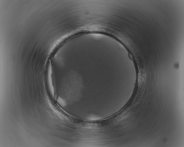 X0000115500438200912041042