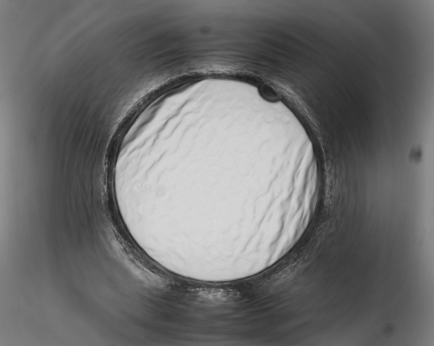 X0000115500439200912041042