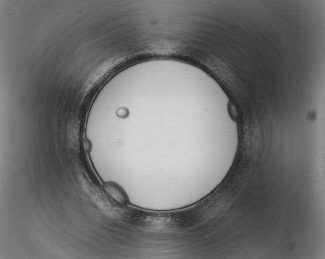 X0000115500440200912041042