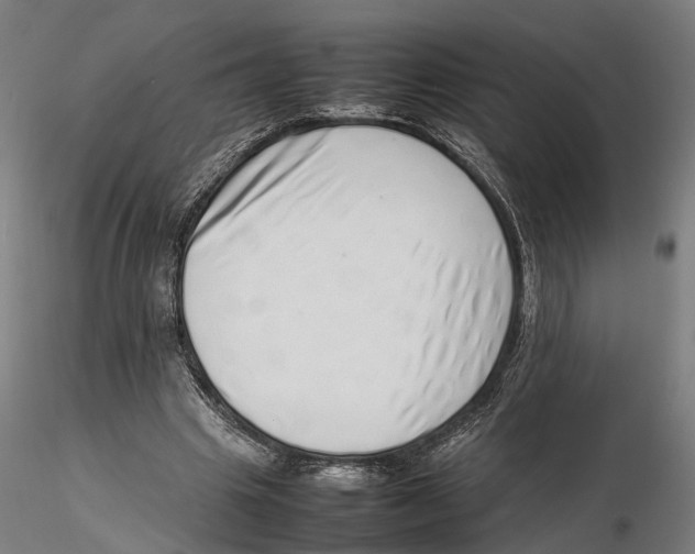 X0000115500441200912041042