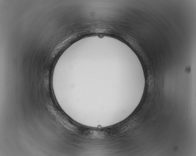 X0000115500442200912041042