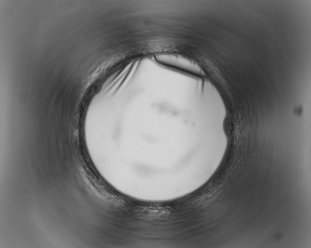 X0000115500443200912041042