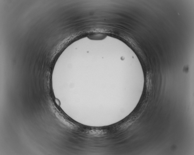 X0000115500445200912041042